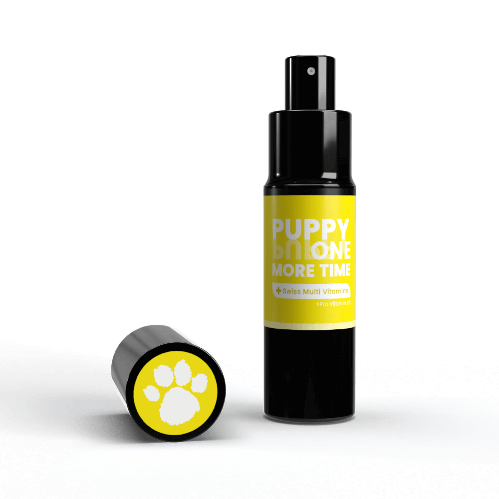 น้ำหอมสำหรับสุนัขและแมว KEVINA ผสมวิตามิน บำรุงขน กลิ่น PUPPY ONE MORE TIME